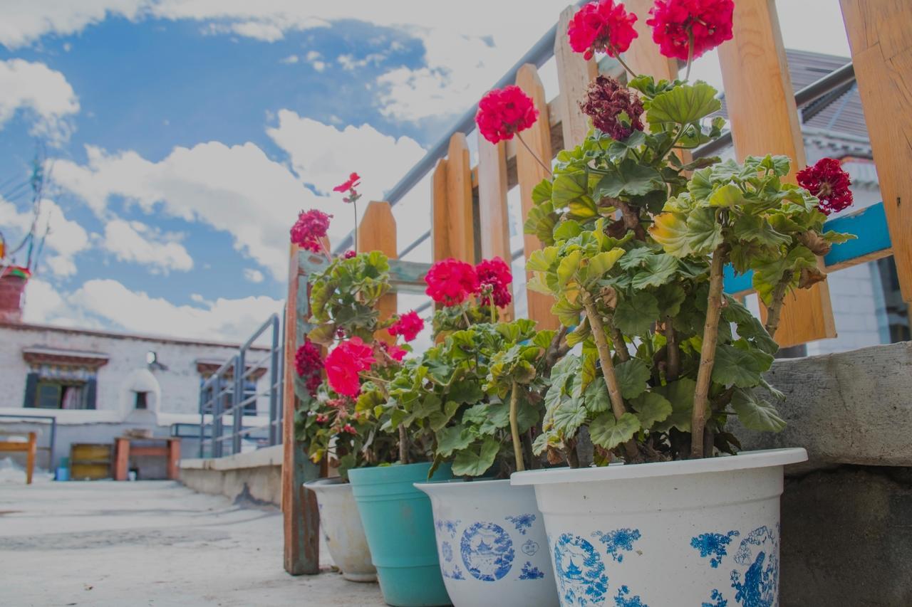 Fengma Feiyang Hostel Lhasa Esterno foto